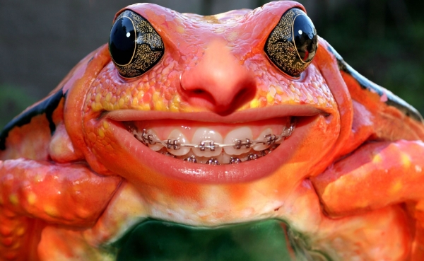 Creation of Smiling Frog: Step 7